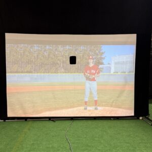 Live Simulator Batting Machine